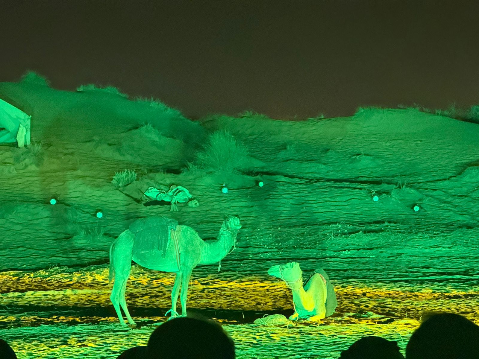 العرض القطري ليلى ومئة ليلة (4)