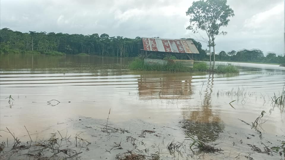 بوليفيا بوليفيا