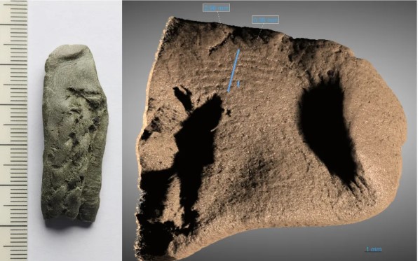 بصمة إصبع بصمة إصبع