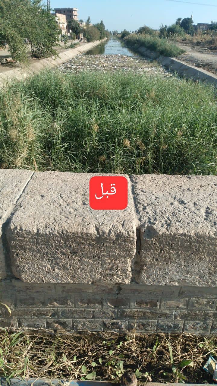 الحشائش بالترعة