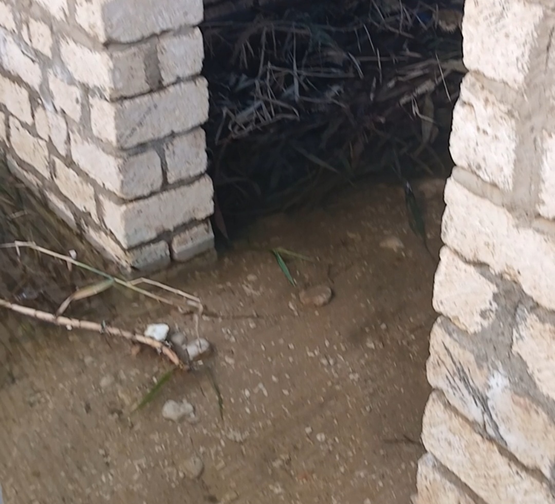 _مياه داخل منزل بقنا _مياه داخل منزل بقنا