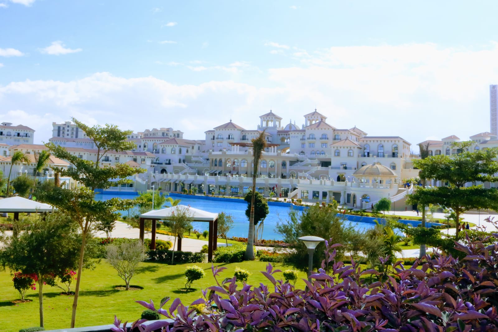 295adbcd-df1c-40b1-a851-b96bf689addc 295adbcd-df1c-40b1-a851-b96bf689addc