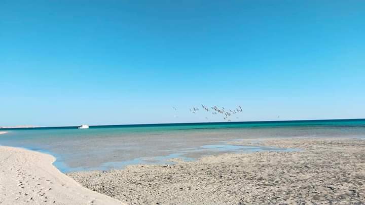 اقرب الجزر البحرية للغردقة  