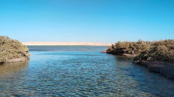 جزيرة ابو منقار بالغردقة 