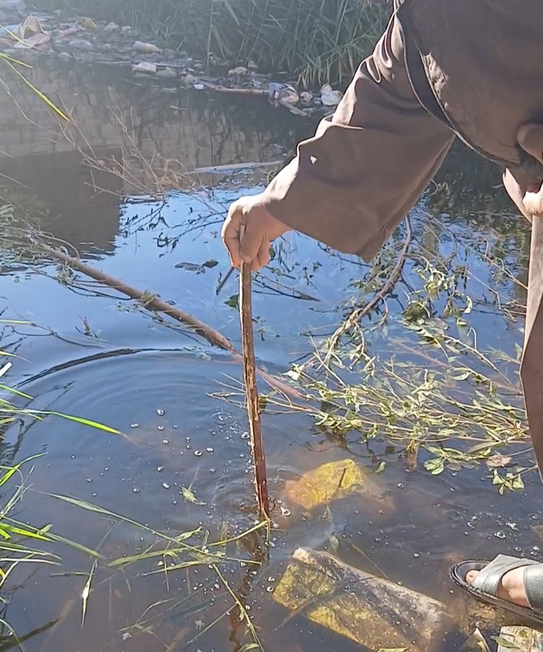 _مياه بجانب أحد المنازل _مياه بجانب أحد المنازل