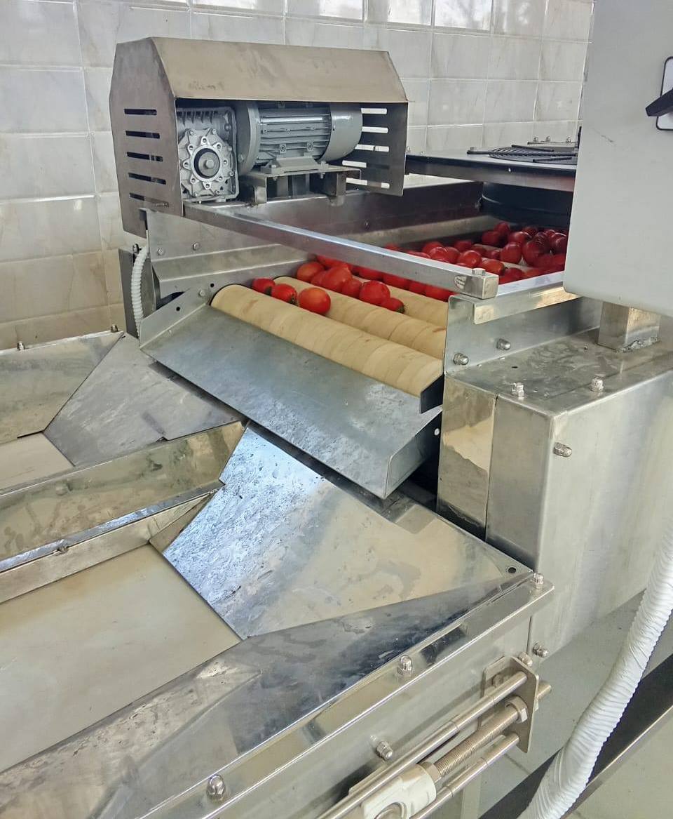 مجمع الصناعات الغذائية والتعبئة تجفيف الطماطم بالأقصر