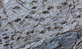 اثار ديناصورات فى ايطاليا اثار ديناصورات فى ايطاليا