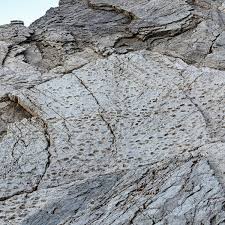 اثار ديناصور اثار ديناصور