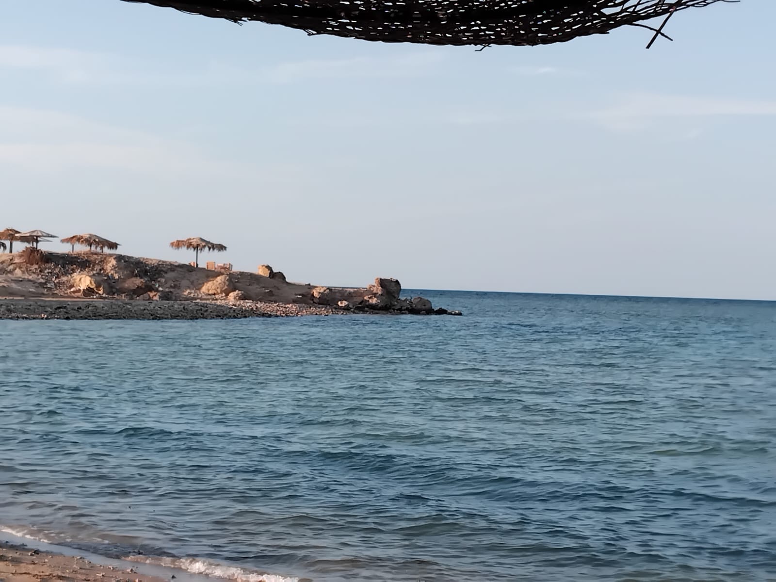 WhatsApp Image 2025-12-08 at 1.50.43 PM (1)