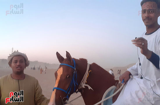 عدد-من-الفرسان-فى-أسوان عدد-من-الفرسان-فى-أسوان