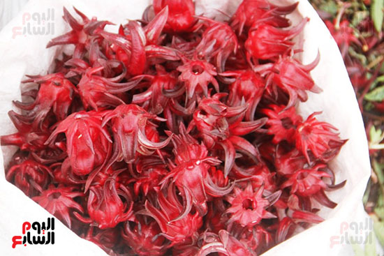 الكركديه-فى-الأجولة