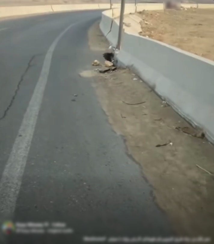 WhatsApp Image 2025-12-19 at 2.54.03 PM