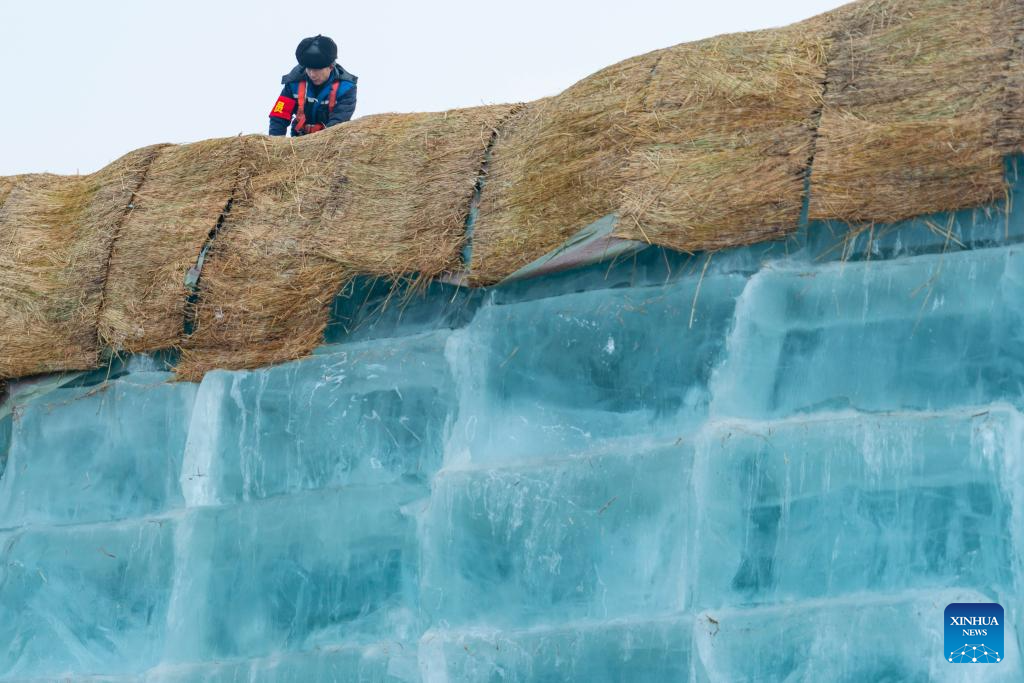 معرض هاربين العالمي للجليد والثلج  (1)