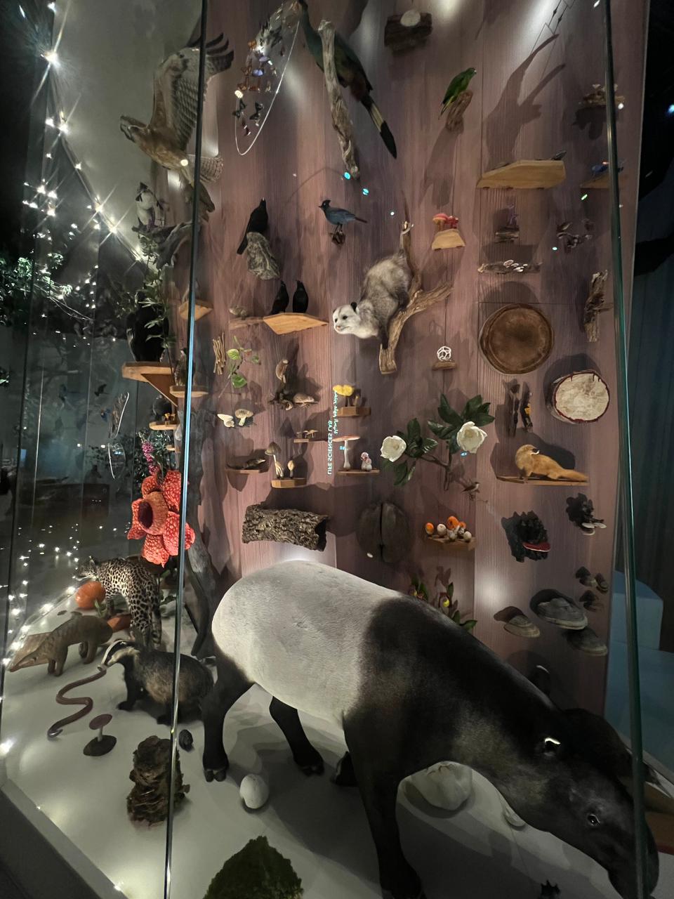 5245f953-ef13-4457-9eed-d054da27b858