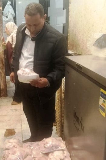 دواجن غير صالحة (4)