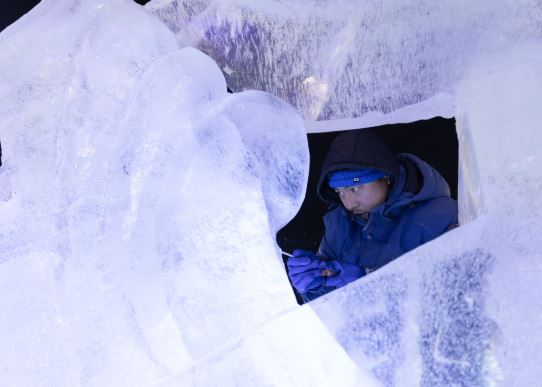 معرض هاربين العالمي للجليد والثلج  (1)