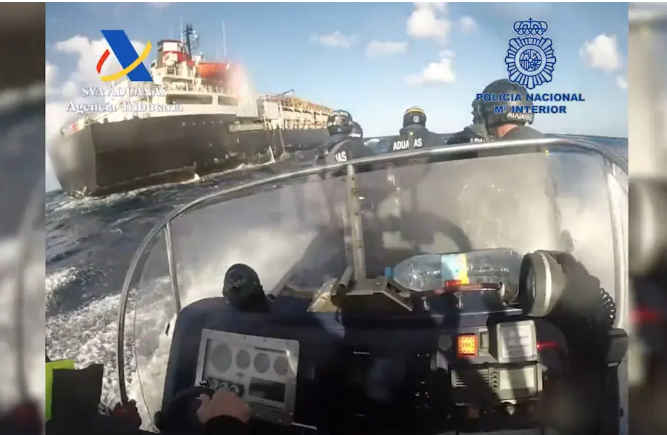 السفن التى تحمل الأبقار