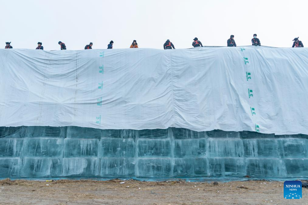 معرض هاربين العالمي للجليد والثلج  (3)