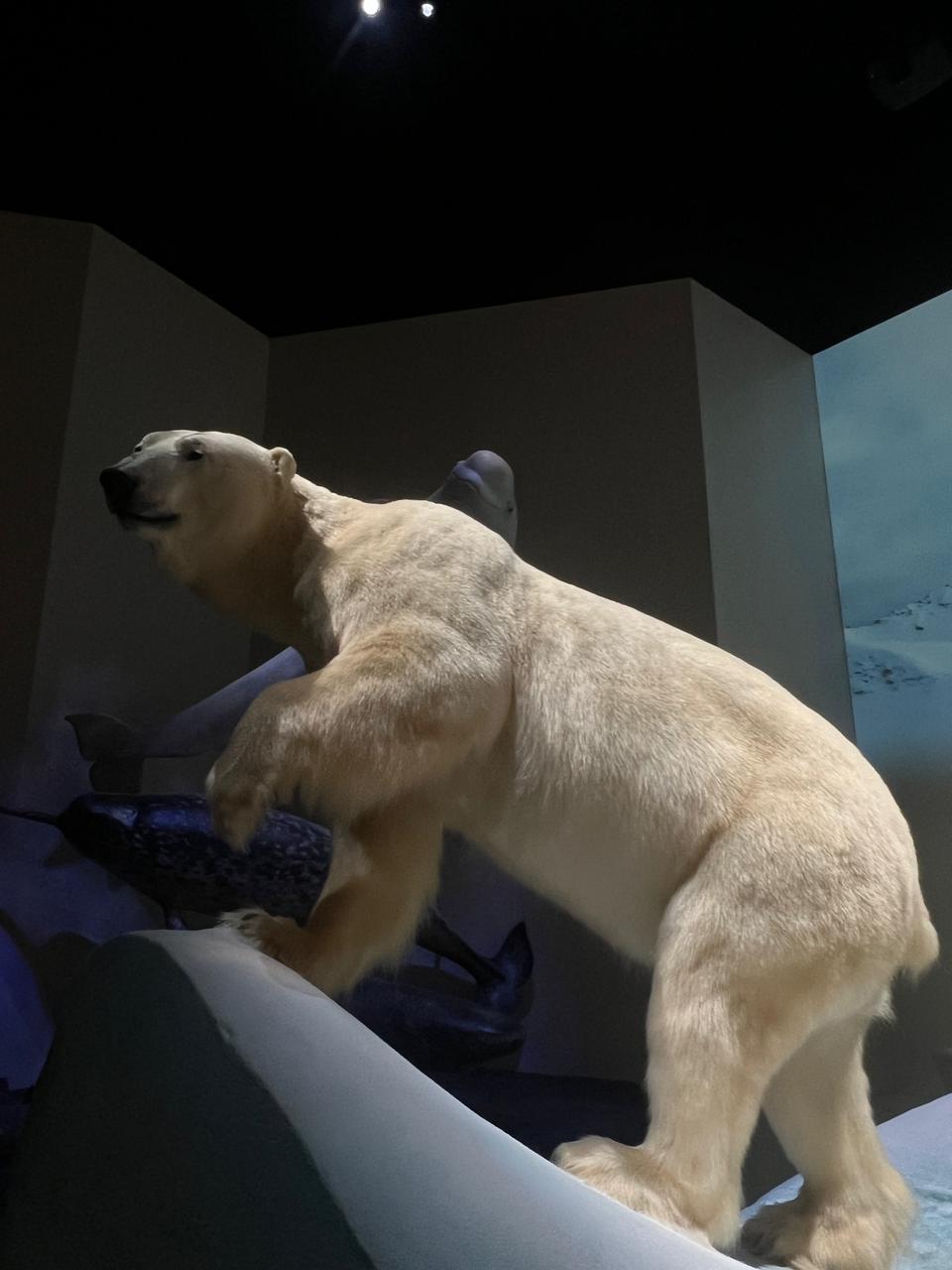 6a7d398e-3566-4a03-9db3-e4098a58ae2c