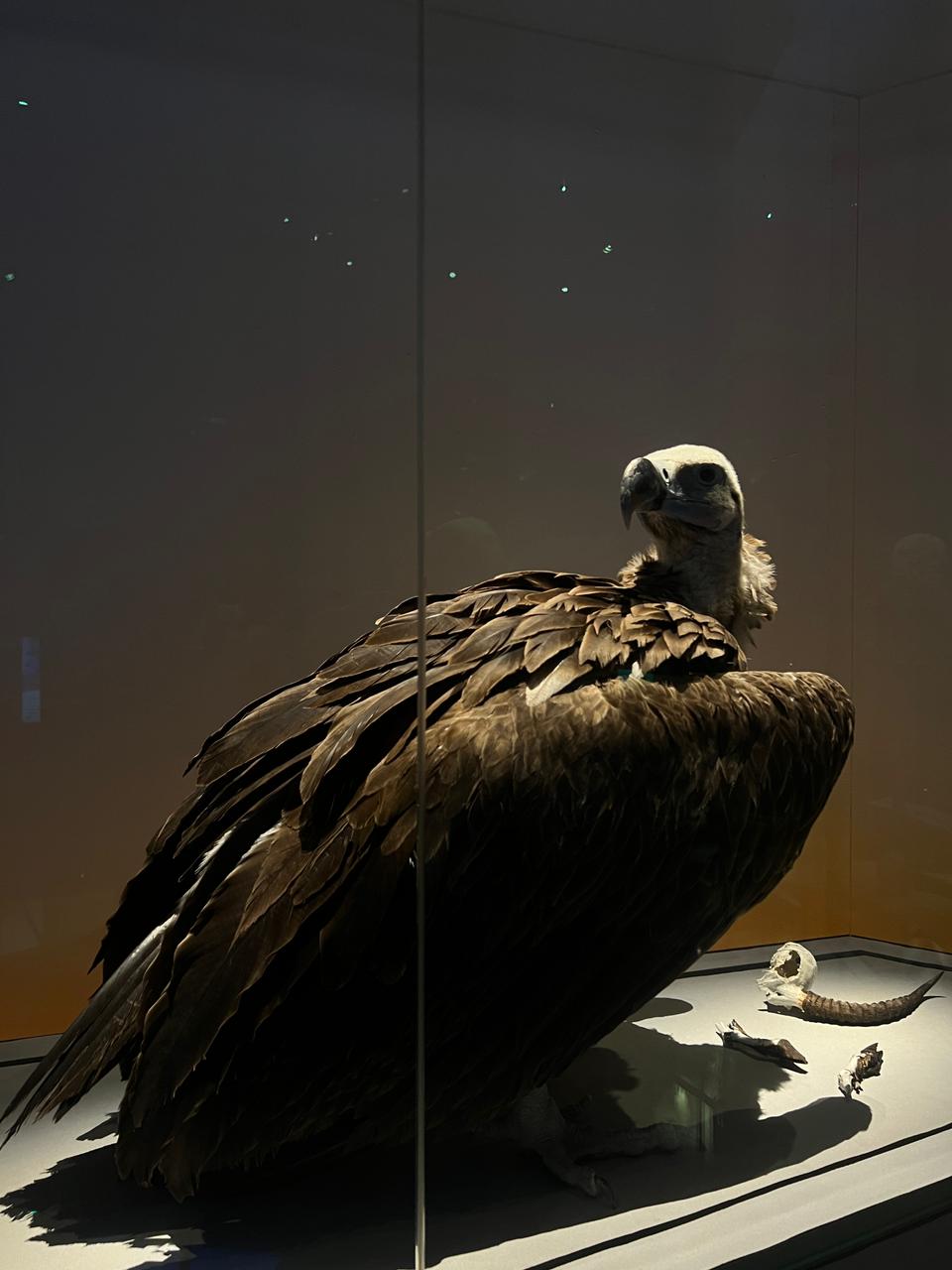 39b2795d-c0c6-4f2b-a405-87c46d2b04ab