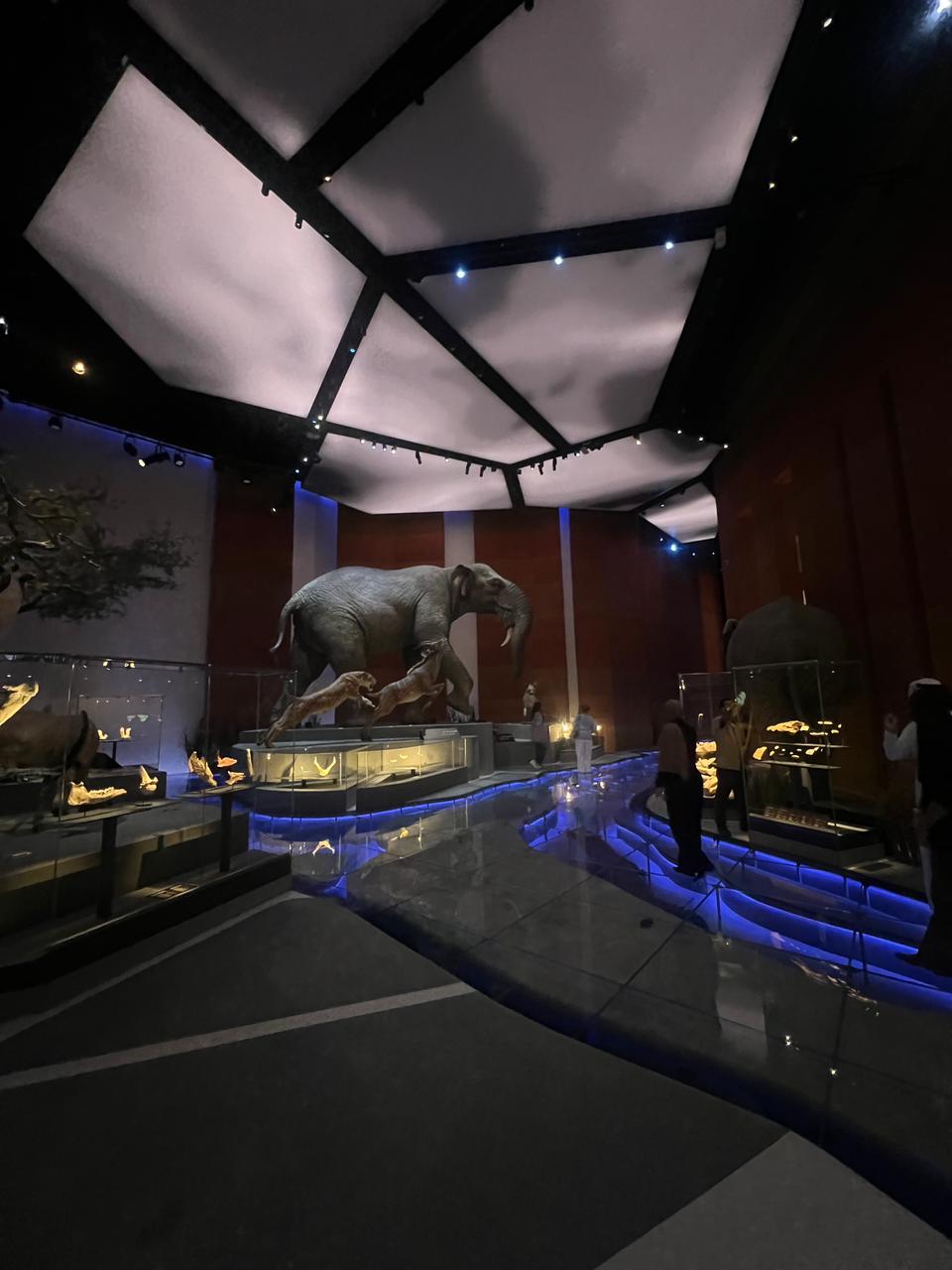 9bd460f1-8d8e-4743-9c31-51959fd35c85