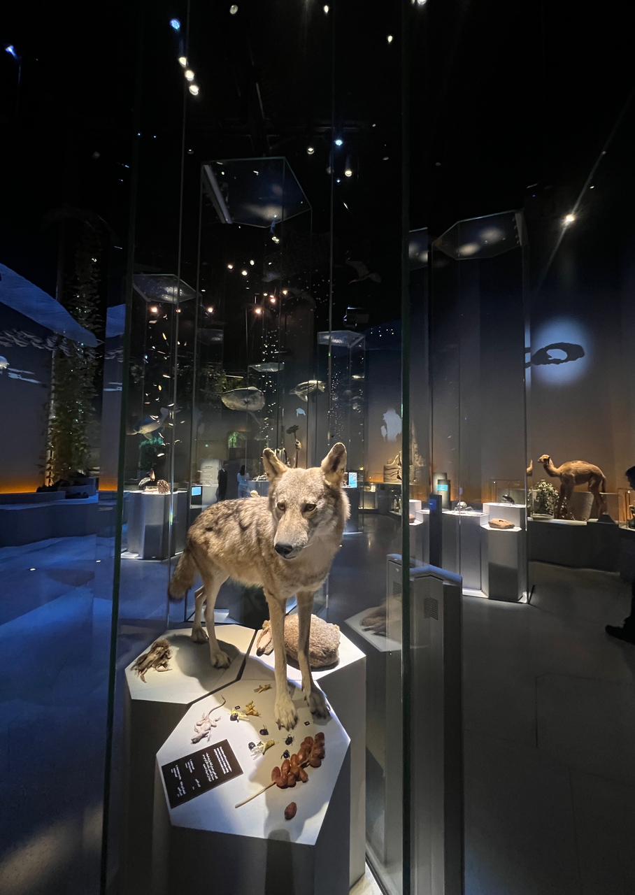 39aa747d-060e-4a6c-b7aa-e112d4e7950c