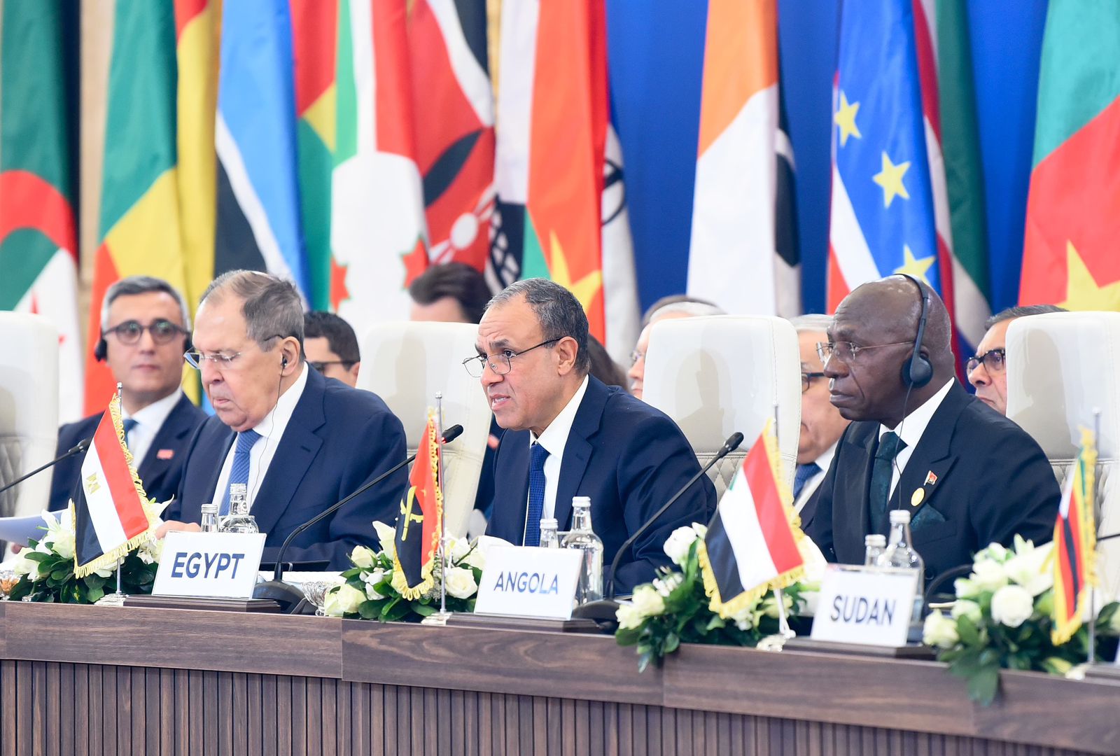 وزير الخارجية بدر عبد العاطى