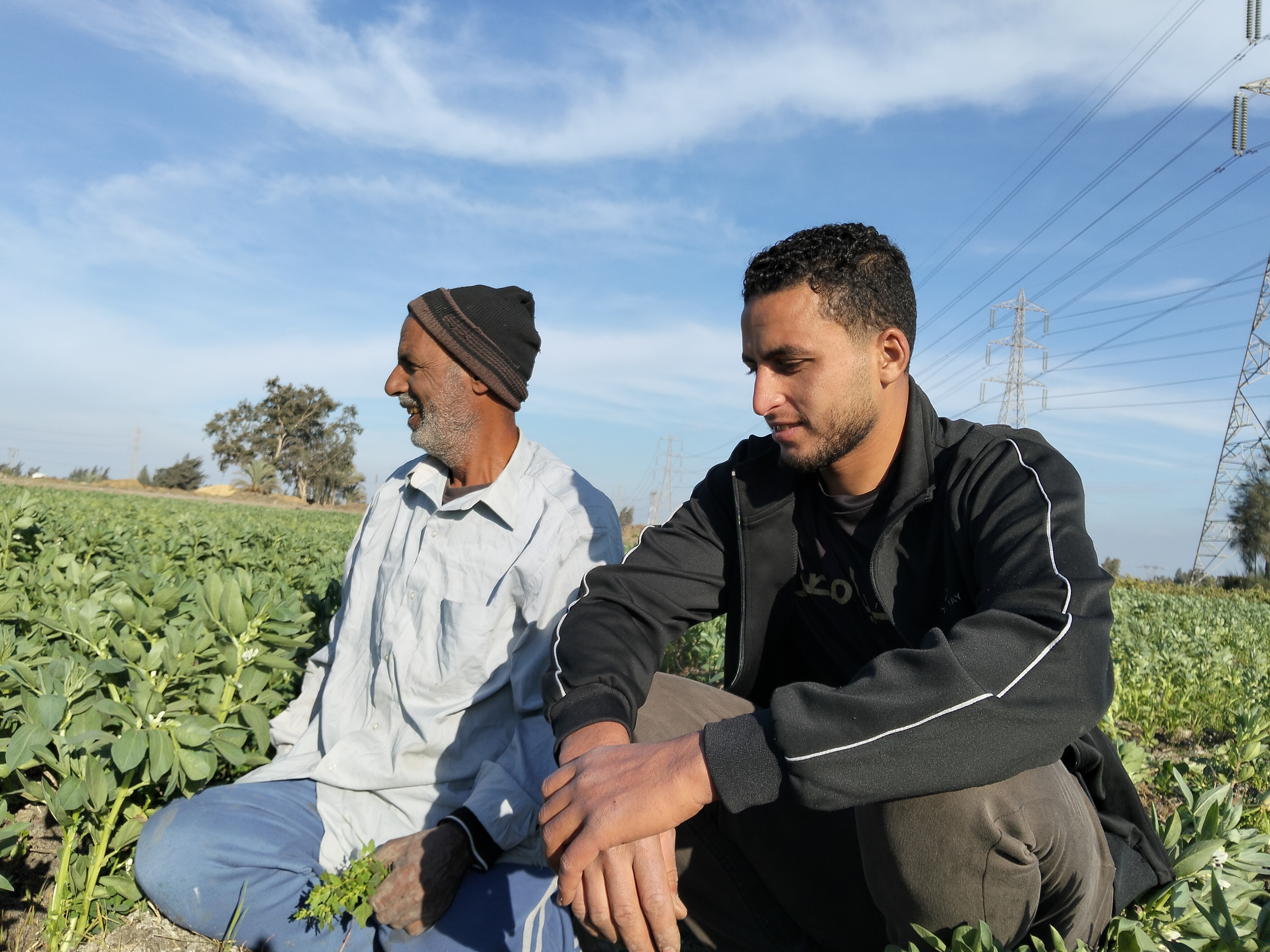 المزارعون بالحقول 