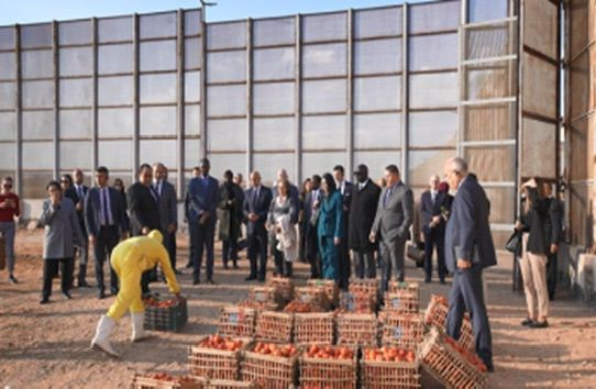 وفد دبلوماسي يزور مركز الإصلاح والتأهيل بالعاشر من رمضان (5)