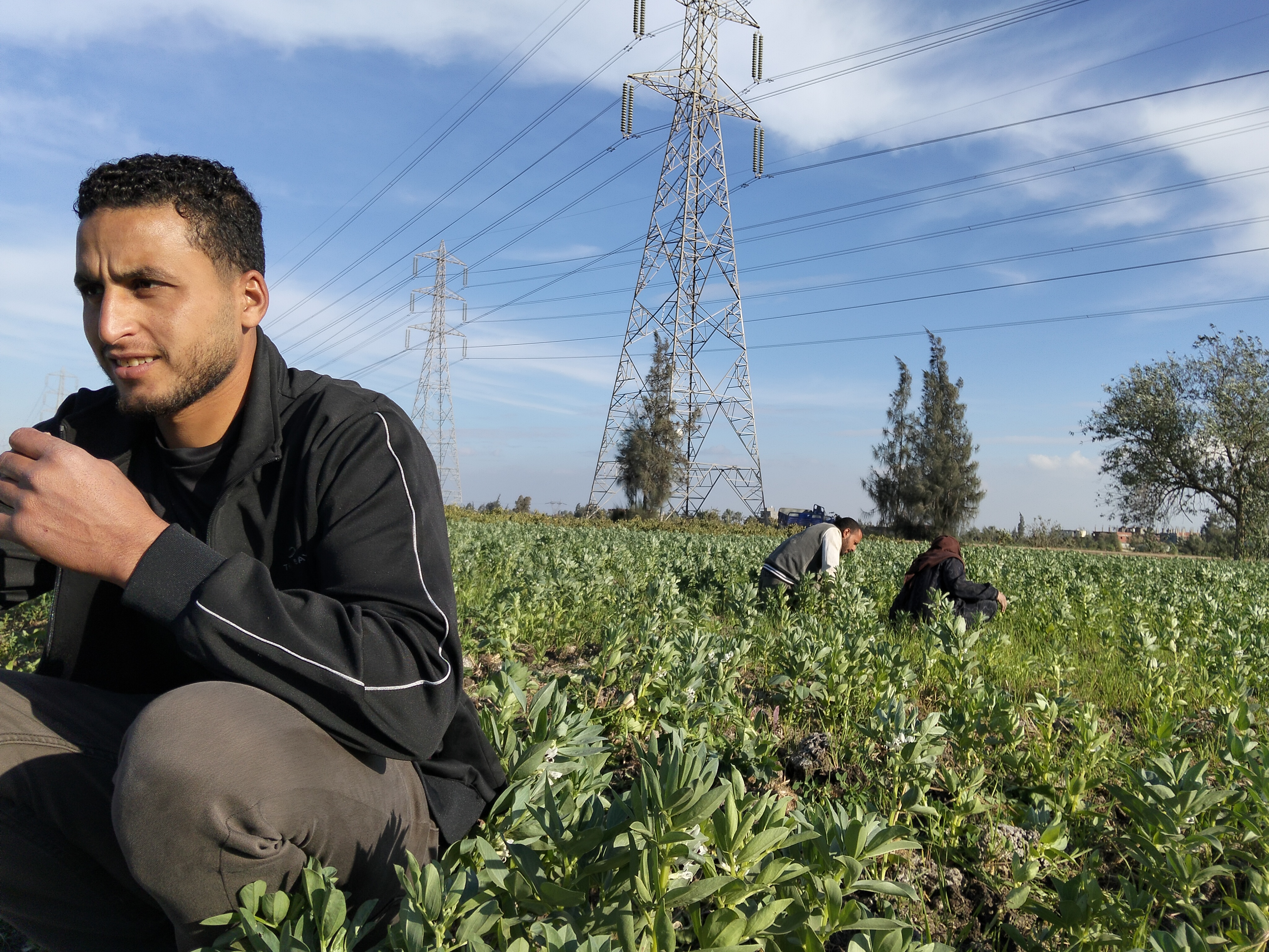 السيدات والرجال يعملون بالحقول 