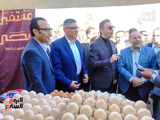 عرض البيض بمعرض اليوم الواحد