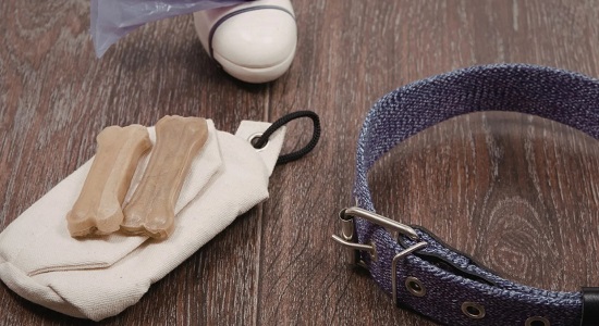 هدايا للحيوانات الأليفة