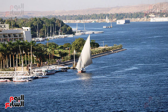 مراكب شراعية