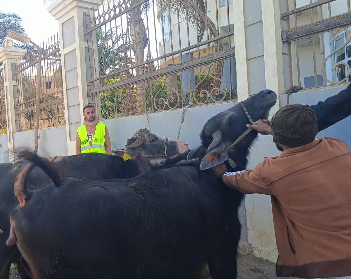  الأورمان عضو التحالف الوطني تنفذ مبادرات اجتماعية وتنموية (6)