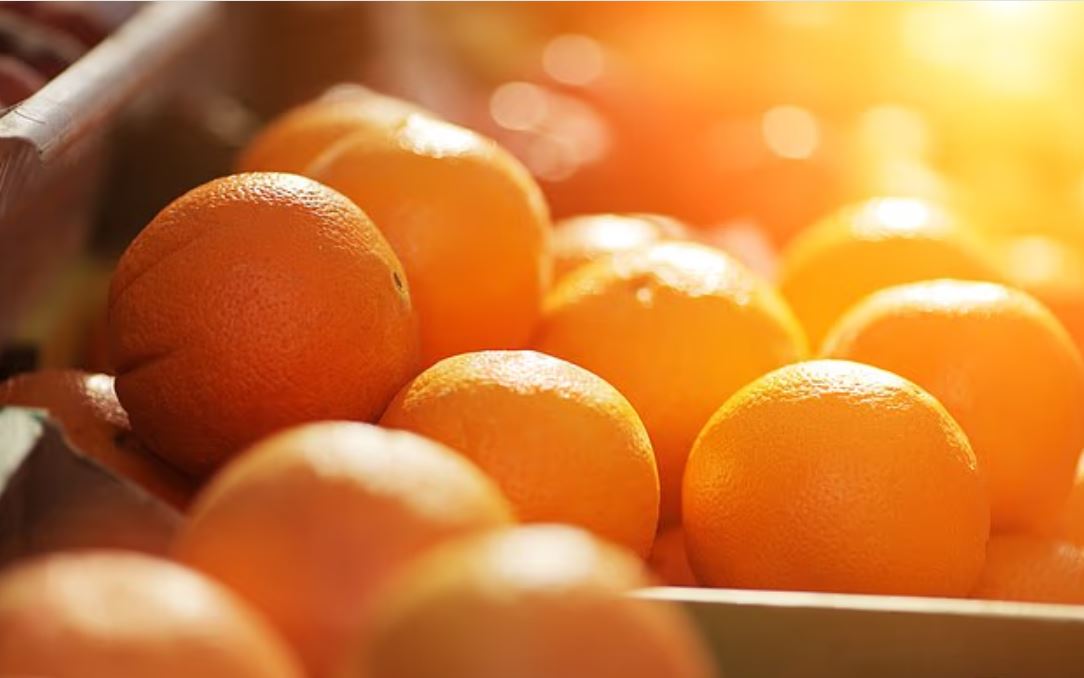 تناول البرتقال