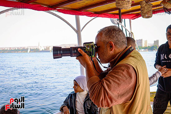 تصوير الحياة البرية