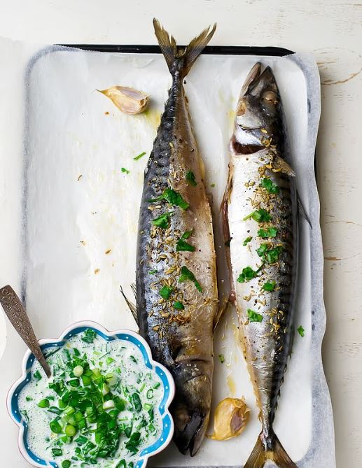 الاسماك الدهنية وعلاج التوتر