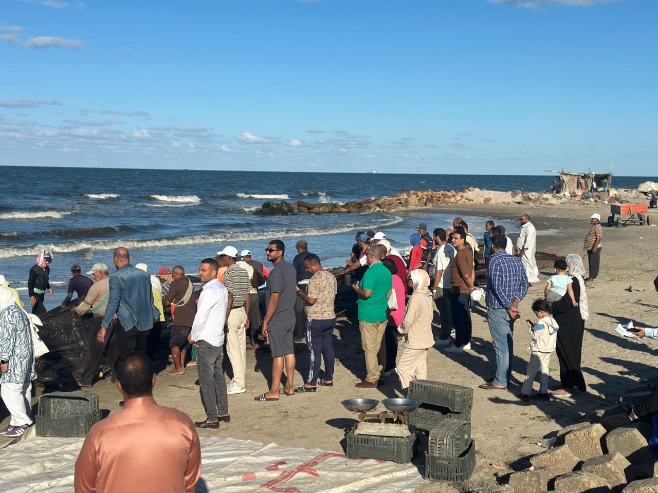 الشباك في بورسعيد