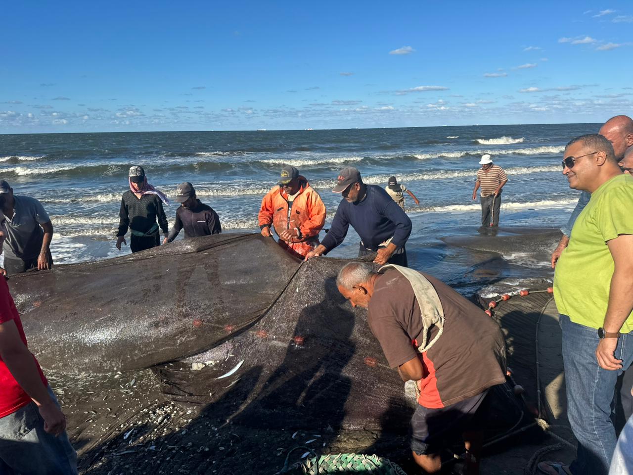 الصيد في بورسعيد