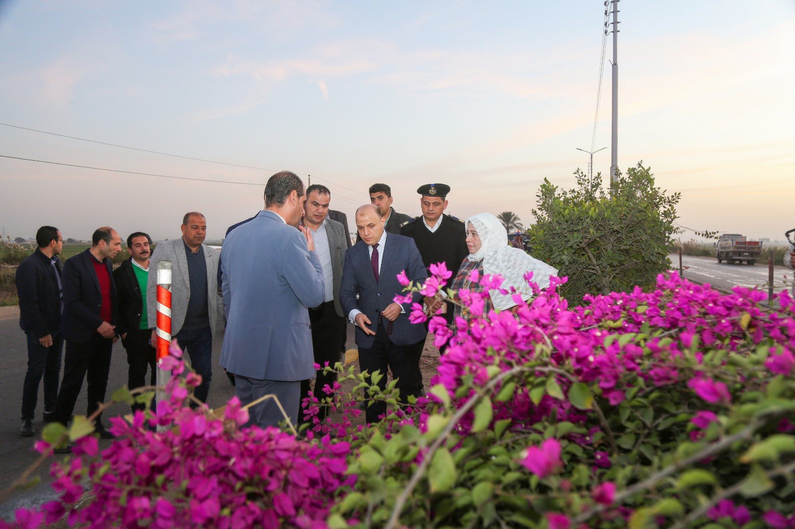 زراعة عدد من الأشجار والورود