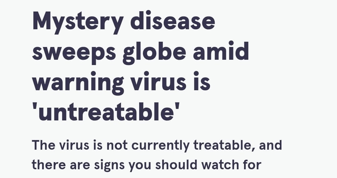 WhatsApp Image 2025-12-22 at 12.50.12 PM (1)