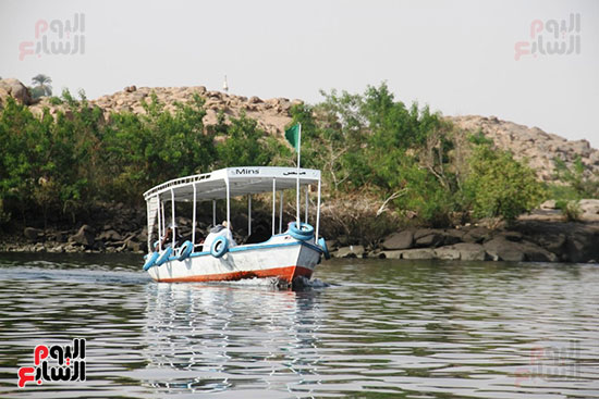 اللنشات وسط الخضرة