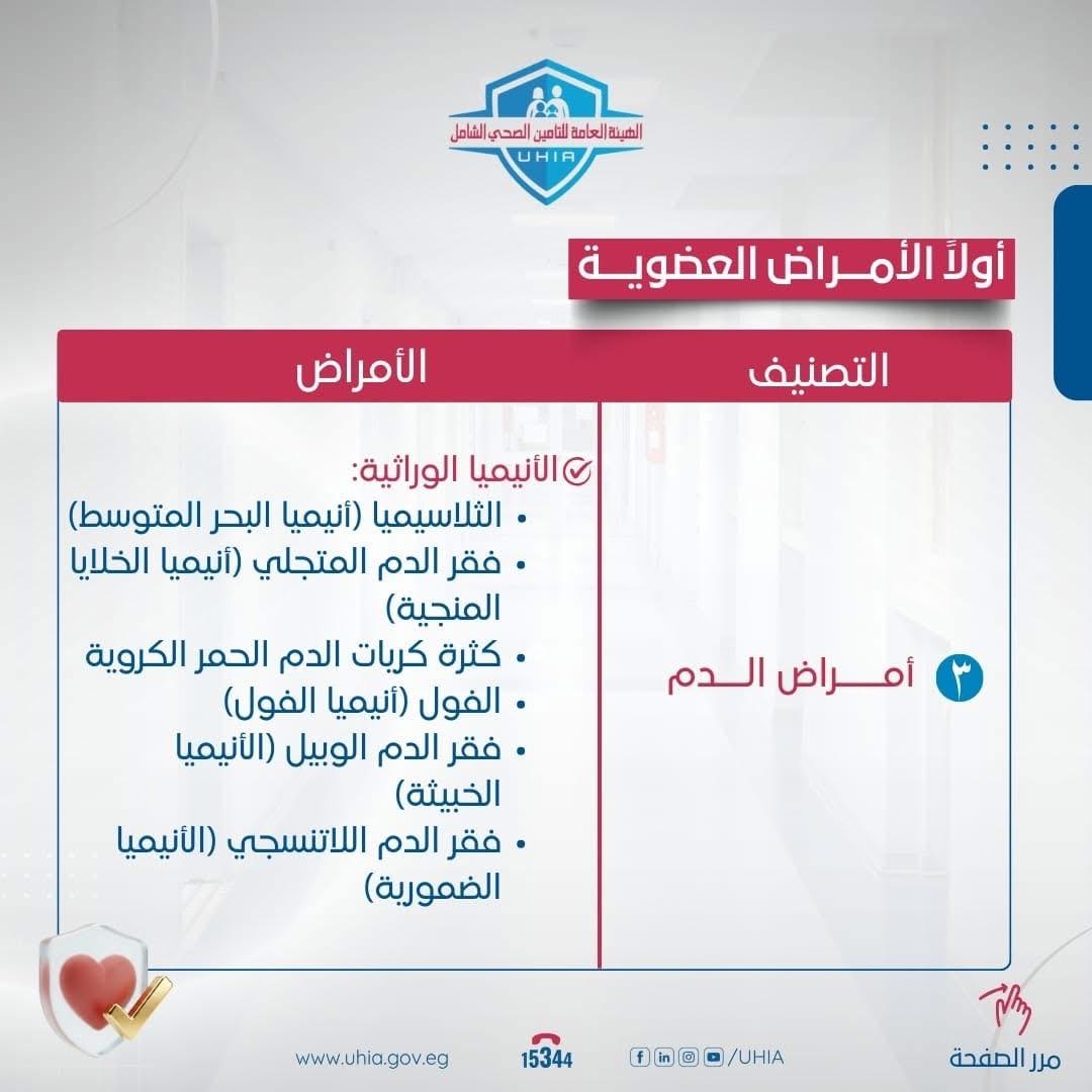 WhatsApp Image 2025-12-22 at 3.16.46 PM (3)