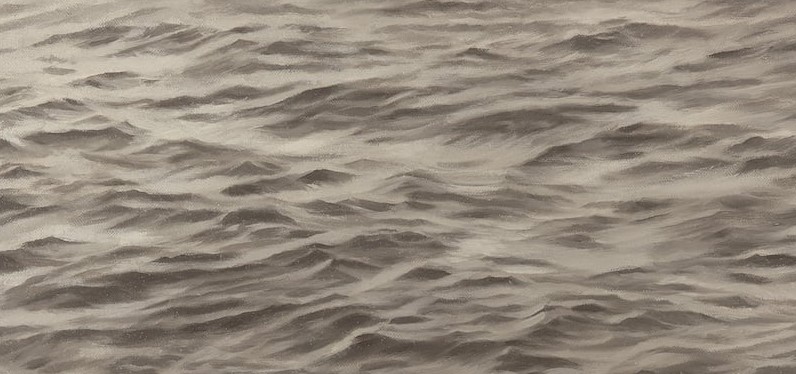 الفنانة فيجا سيلمينز