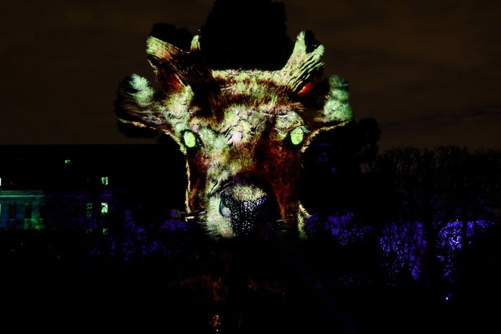 مهرجان الأضواء (9)