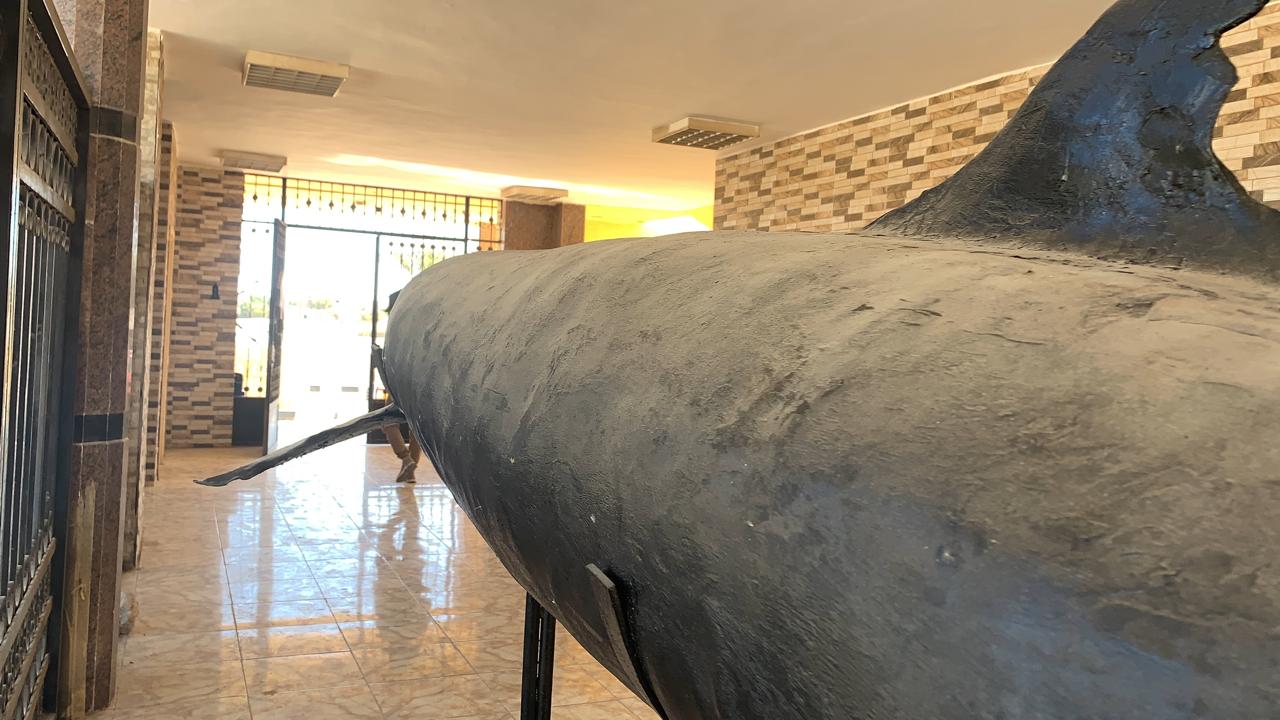 القاتل الكاذب 