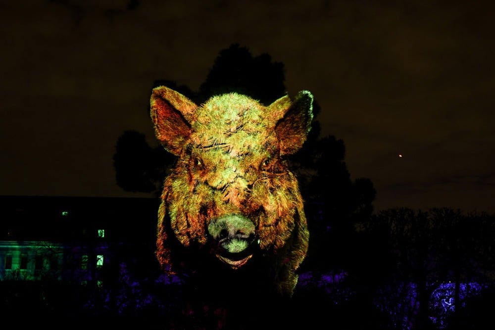 مهرجان الأضواء (2)