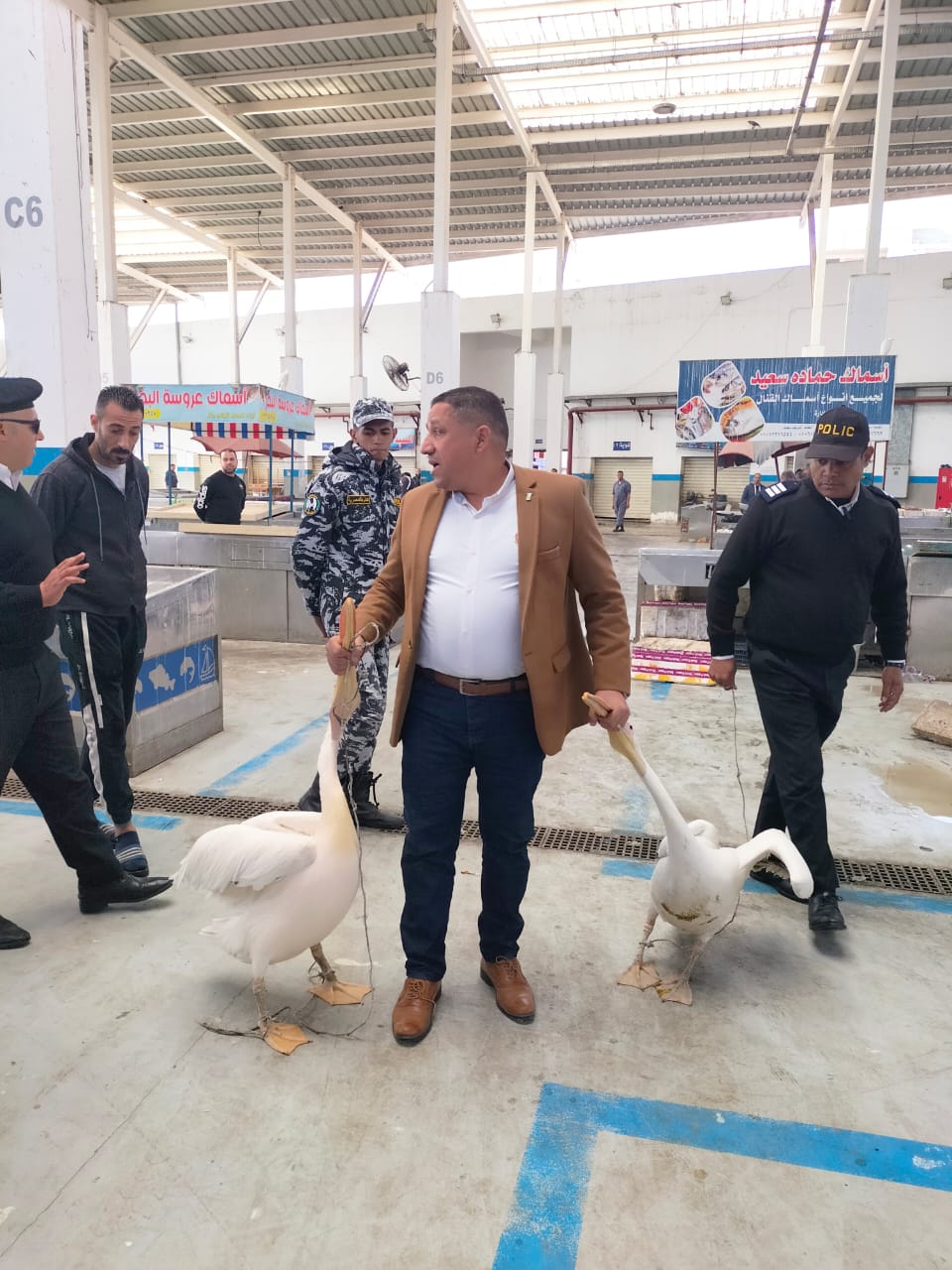 جانب من الحملة جانب من الحملة