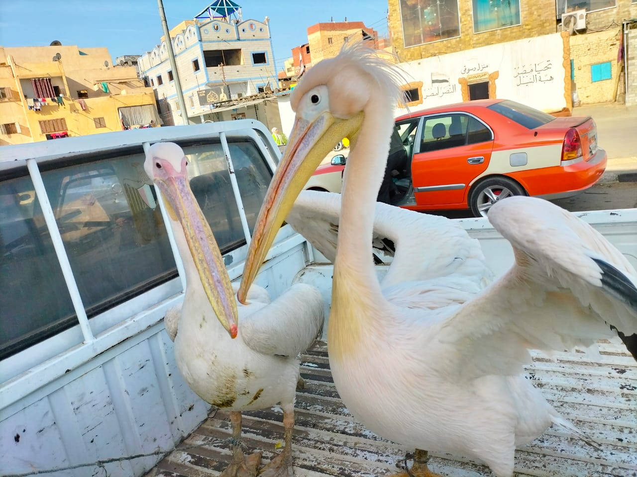 حملات التفتيش الميدانية على الأسواق حملات التفتيش الميدانية على الأسواق