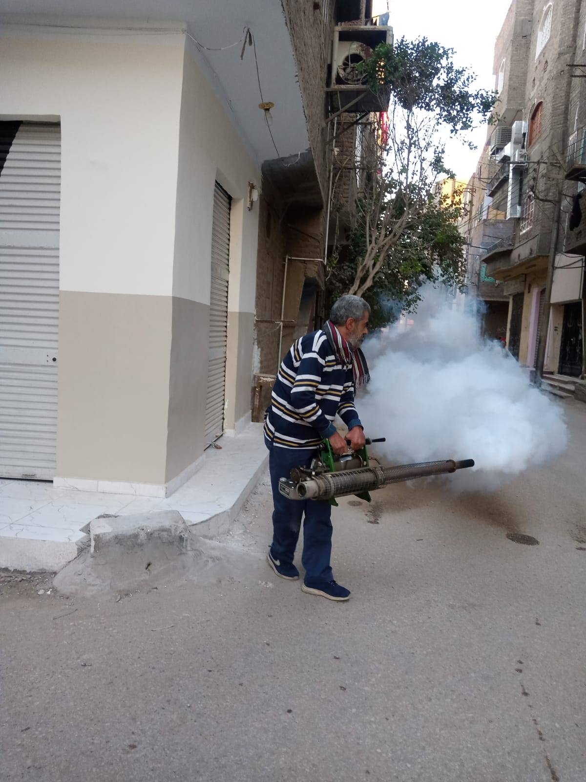 محافظ الأقصر يوجة برش المبيدات الحشرية بعد شكاوى المواطنين بمنطقة حي شرق